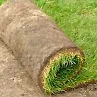 Εγκατάσταση χλοοτάπητα