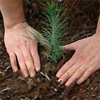 Κατασκευές κήπων